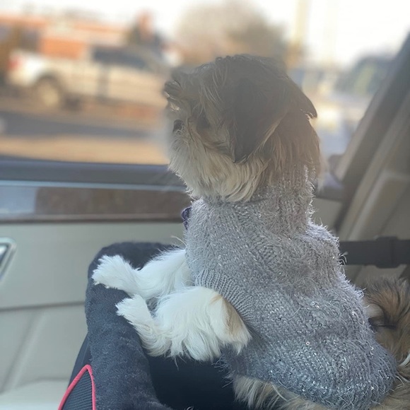 Pullover Knitted Classic Dog Sweater w/ Sequin Turtleneck for Sm/Med Breed NEW - Picture 10 of 11